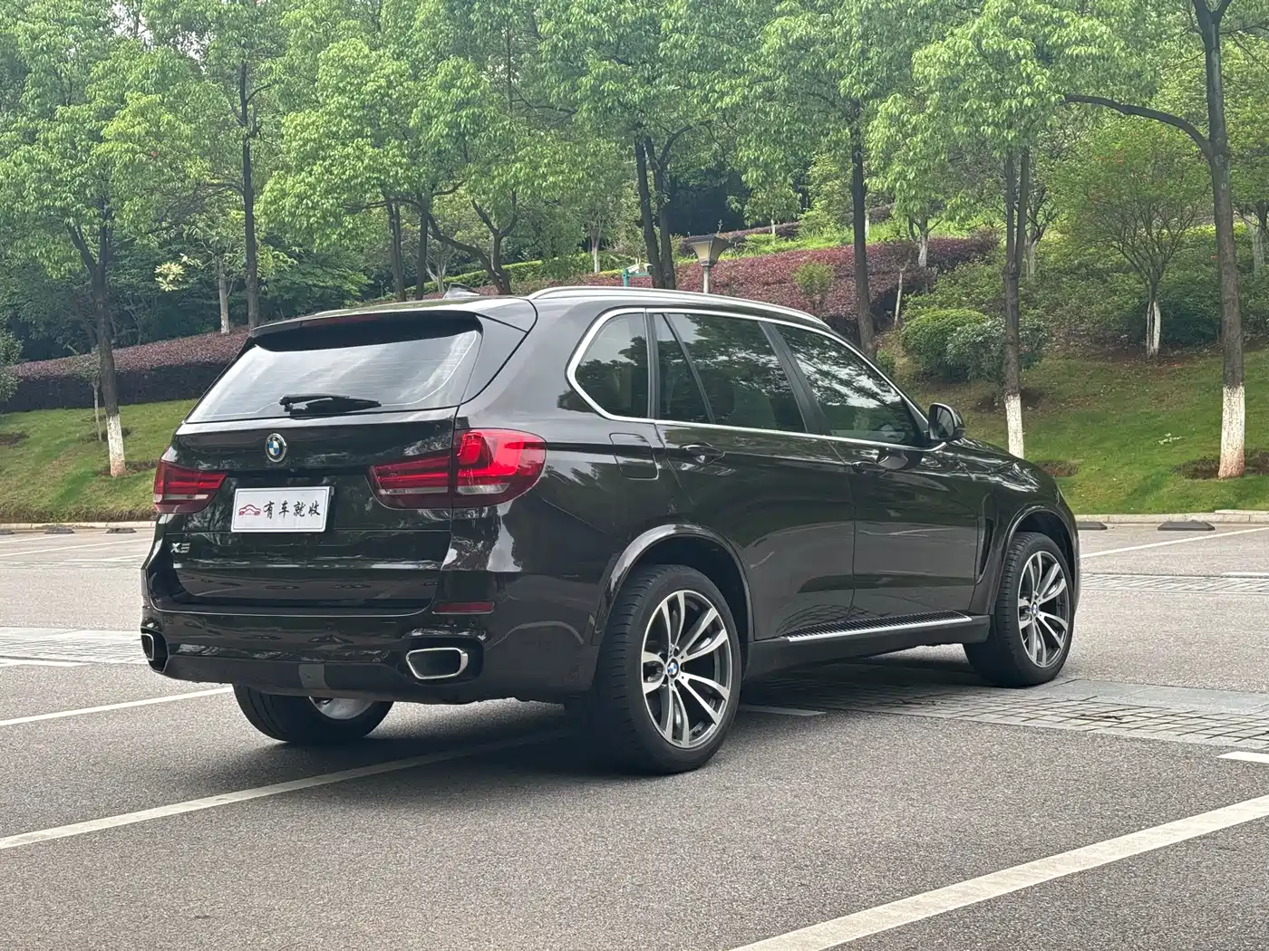 BMW X5 (Import) 2017 xDrive35i Elegance фото 9