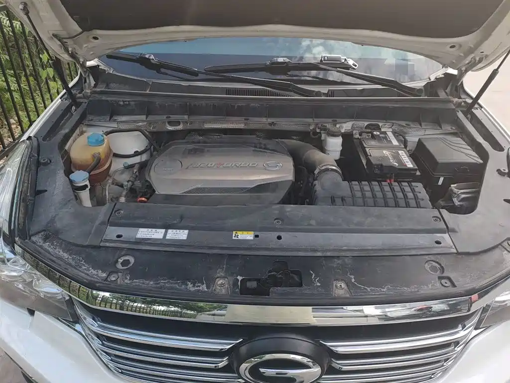 GAC Trumpchi Trumpchi GS8 2017 320T 2WD Luxury Smart Connect (7-seater) фото 17