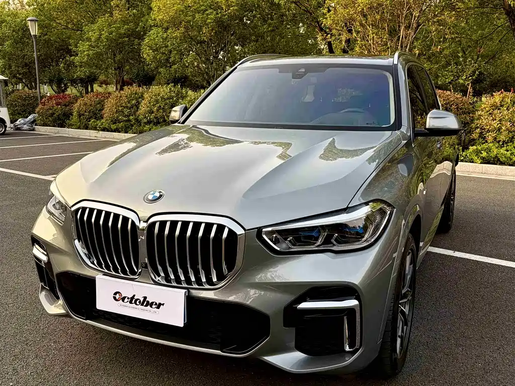 BMW X5 2022 xDrive 30Li Premium M Sport Package фото 2