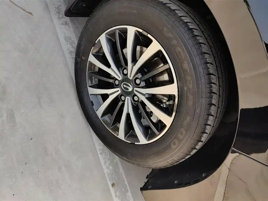 GAC Trumpchi Trumpchi M8 2024 Leadershow Series 390T Luxury Edition фото 6