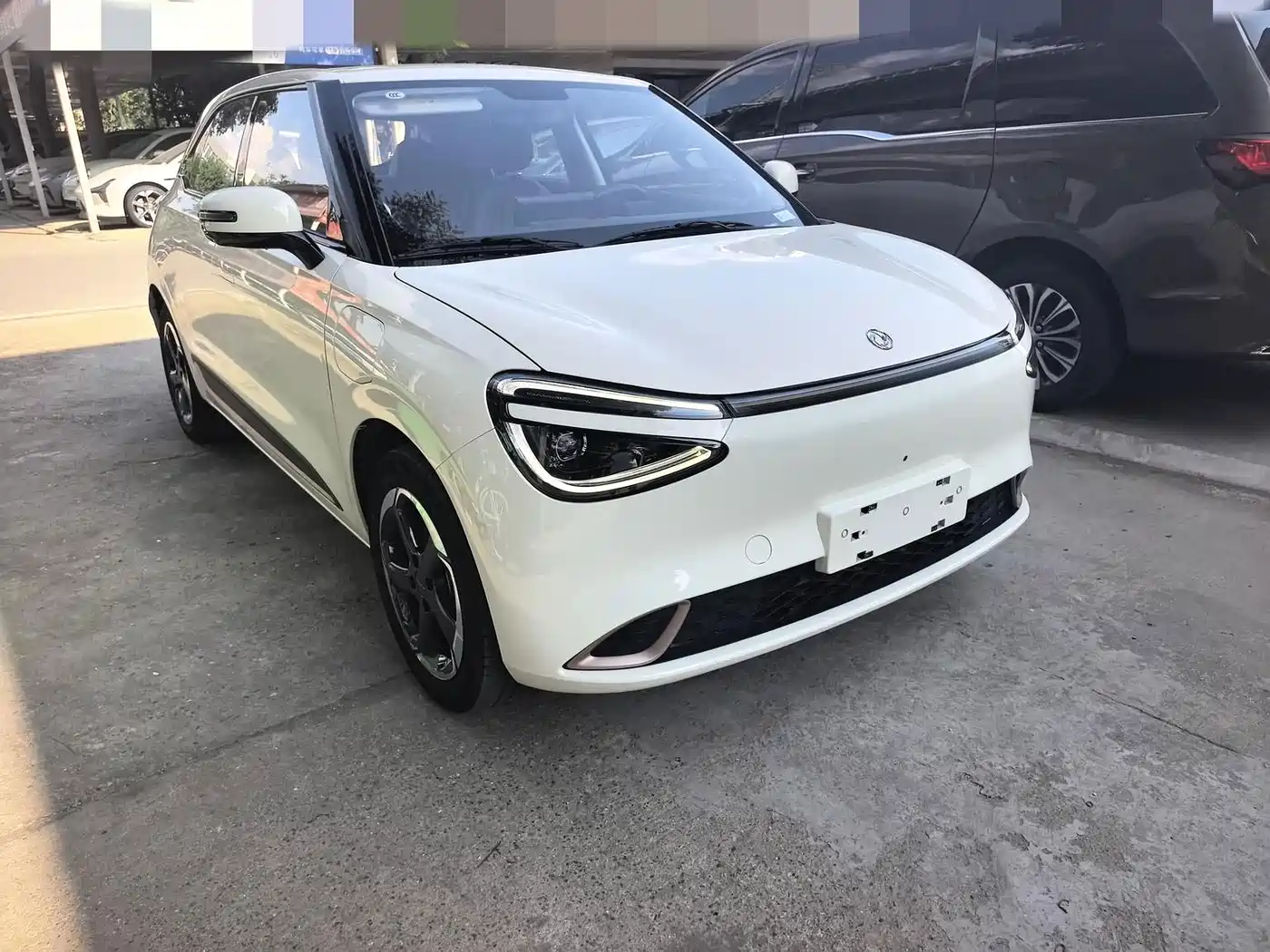 Dongfeng Yipai Nano 01 2025 2024 430 Plus Smart+