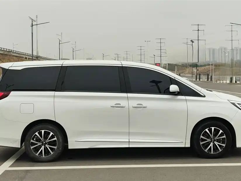 GAC Trumpchi Trumpchi M8 2023 Leading Series 390T Luxury Edition фото 6