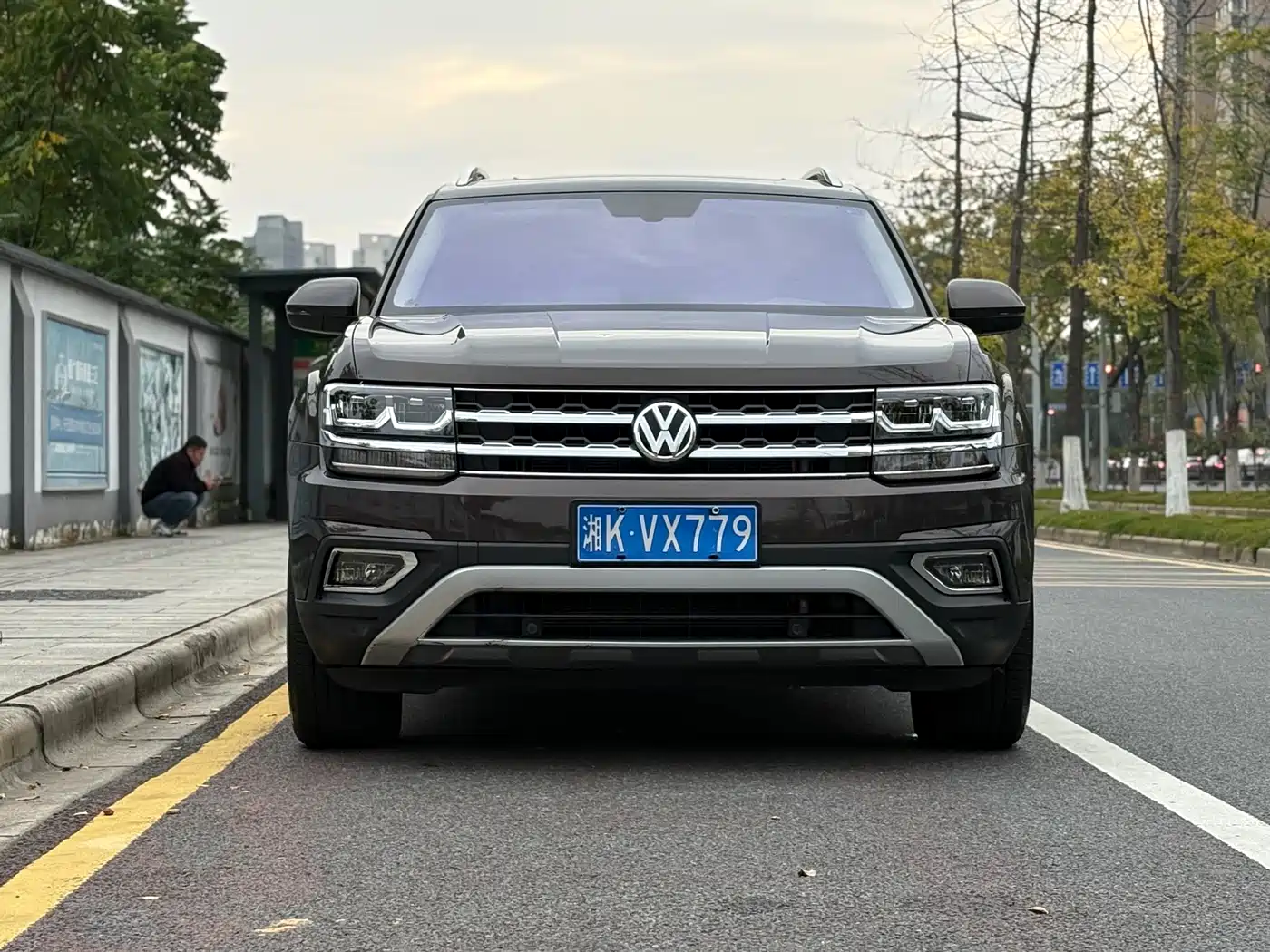 Volkswagen Teramont 2019 380TSI 4WD Luxury Edition China VI фото 2