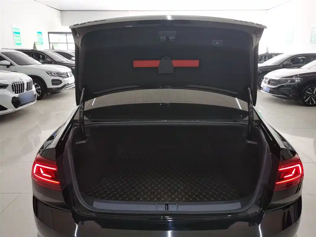 Volkswagen Magotan 2026 Model 30 Million Special Selection 380TSI DSG Luxury фото 19