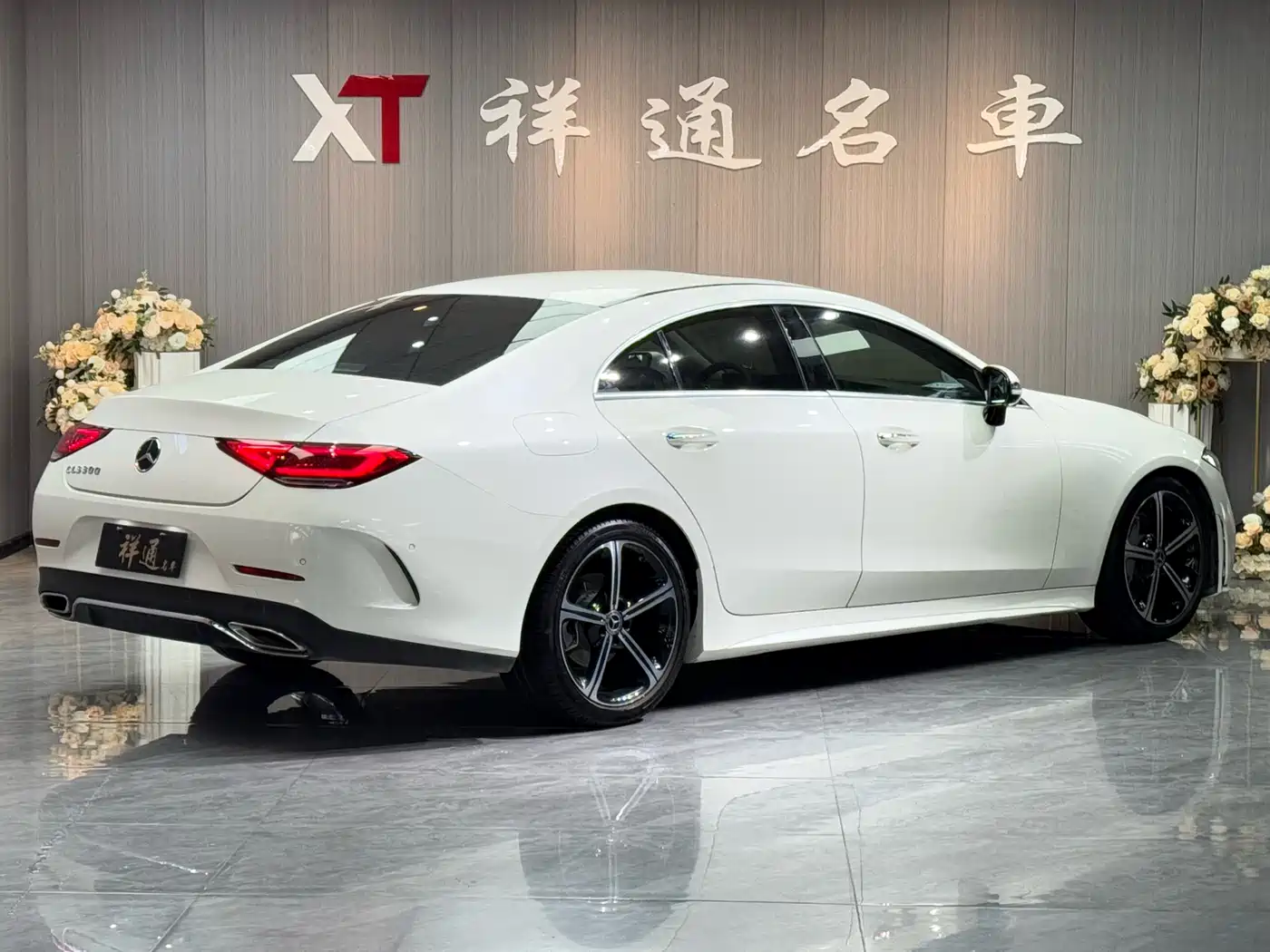 Mercedes-Benz CLS 2020 CLS 300 Luxury фото 10