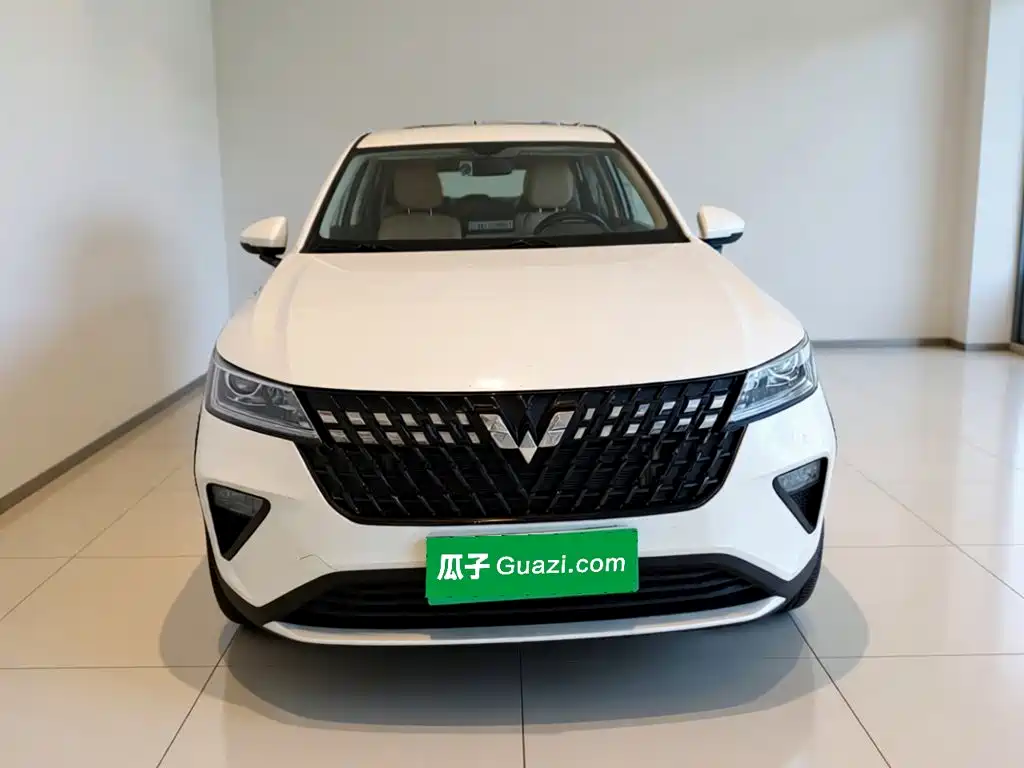 Wuling Motors Wuling Xingchi 2023 2022 1.5L Manual Freedom Edition