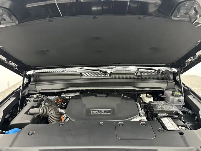 Tank 400 New Energy 2024 2024 Hi4-T Off-Road Edition