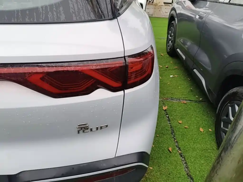 BYD Yuan UP 2026 2025 Model 301KM Navigator