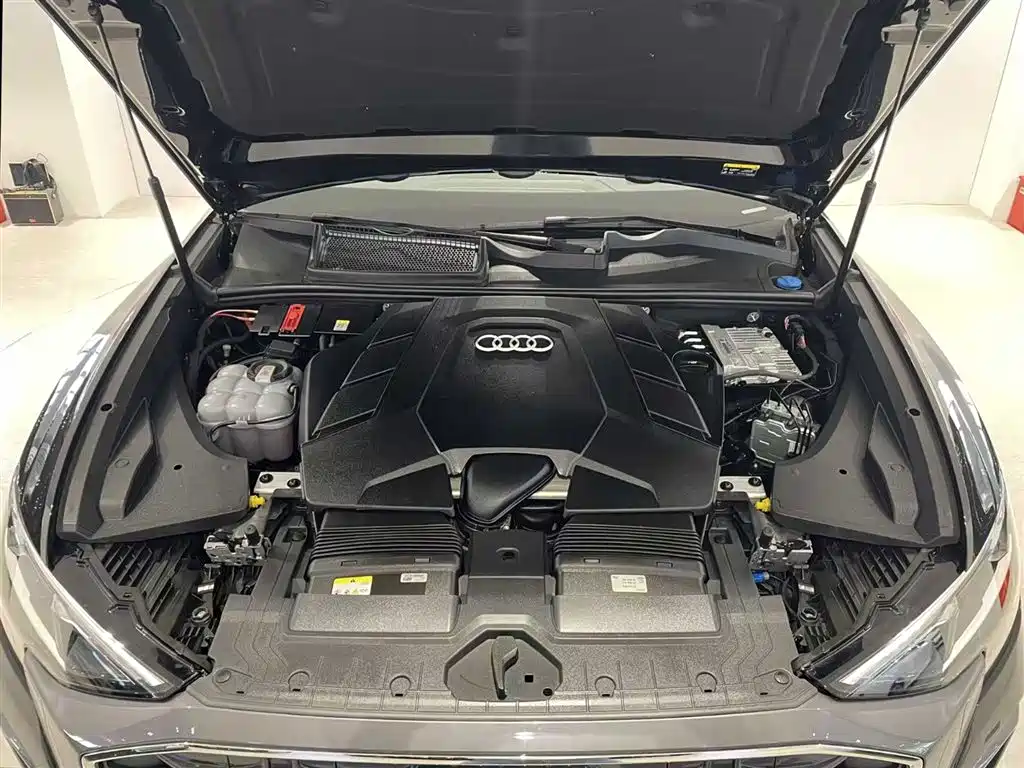 Audi Q8 2025 2024 55 TFSI Luxury Sport
