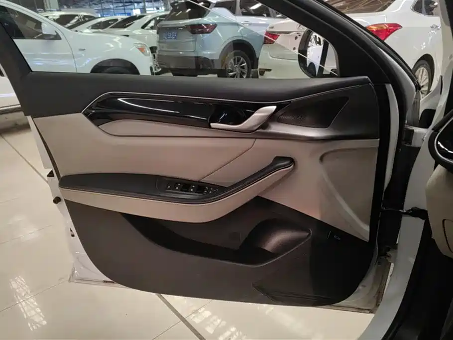 BYD Qin PLUS 2021 EV 400KM Luxury Model фото 7