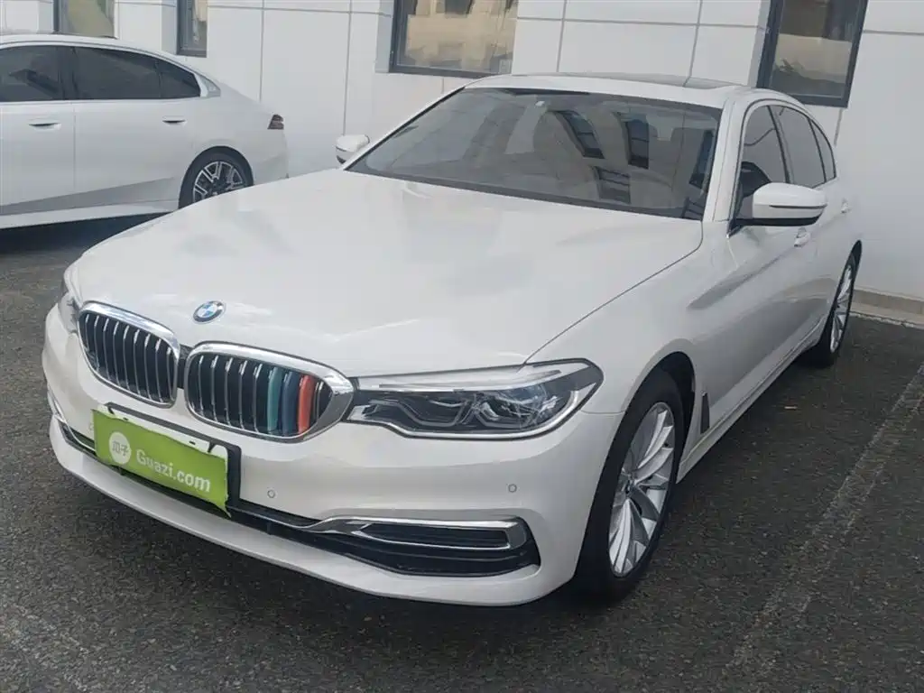 BMW 5 Series 2020 530Li xDrive Luxury Package фото 3