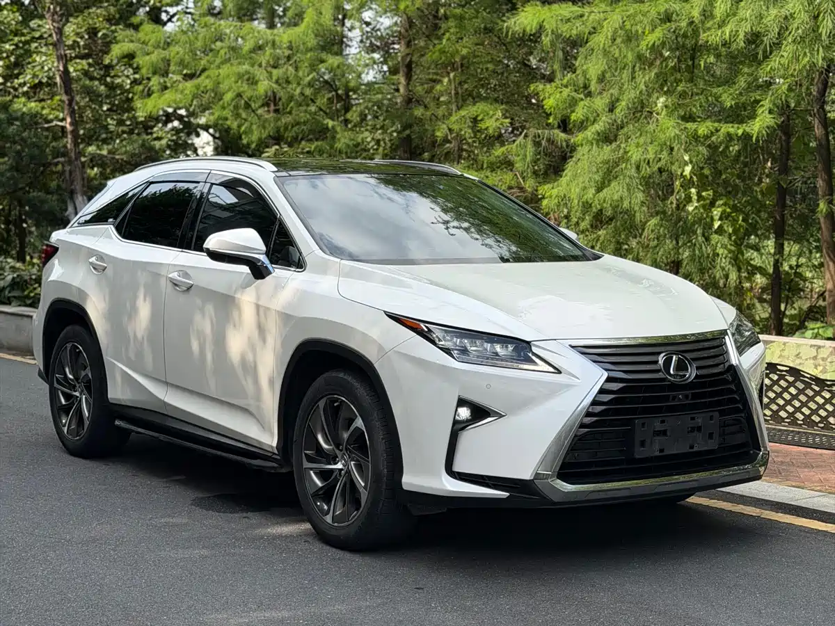 Lexus RX 2016 300 4WD Elegance Edition (China V) фото 20