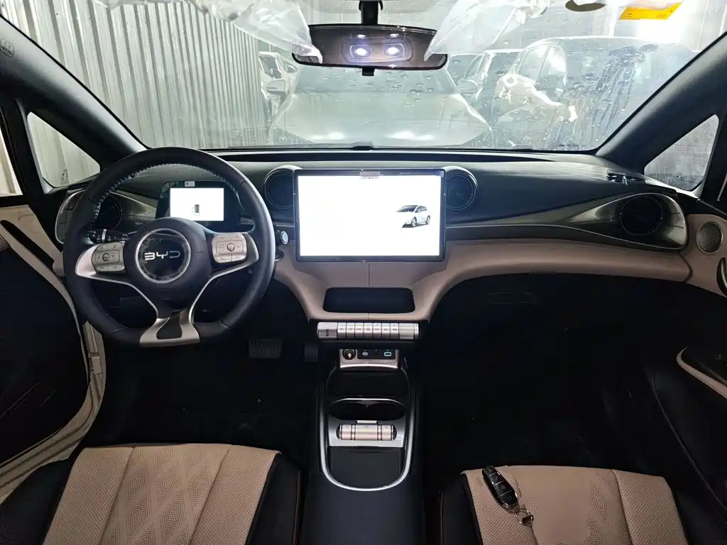 BYD Dolphin 2026 2025 420km Freedom Edition