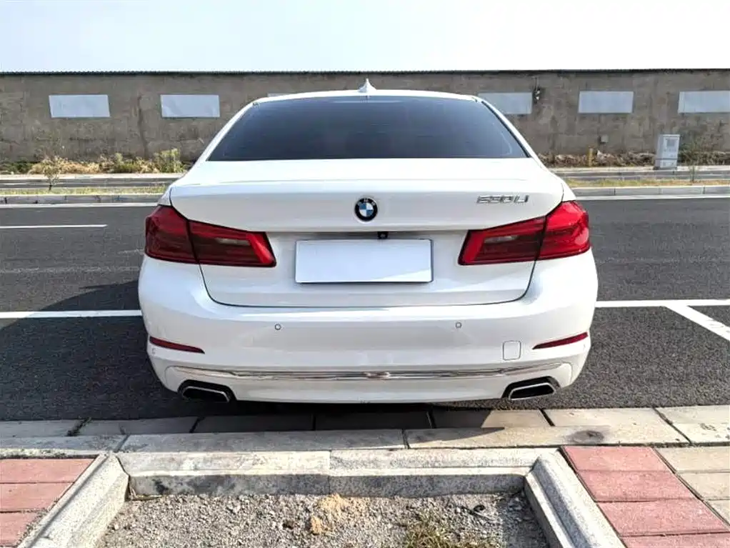 BMW 5 Series 2019 530Li Premium Luxury Package фото 5