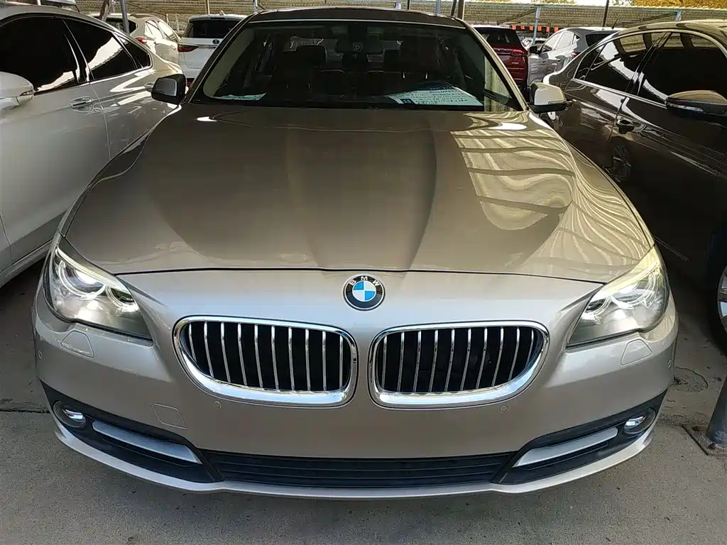 BMW 5 Series 2014 520Li Elegance фото 19