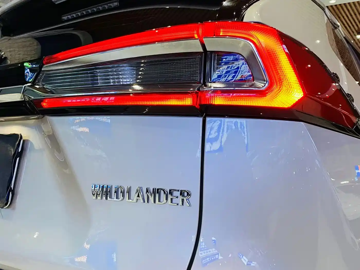 Toyota Wildlander 2021 2.0L CVT 2WD Luxury Edition фото 13