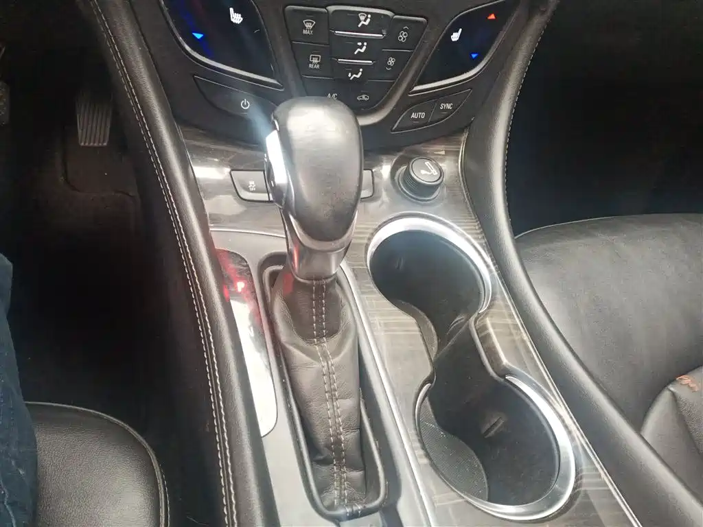 Buick Envision Plus 2018 20T 2WD Elite фото 14