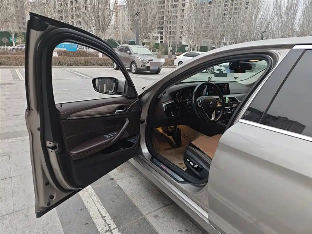 BMW 5 Series 2020 530Li Premium Luxury Package фото 14