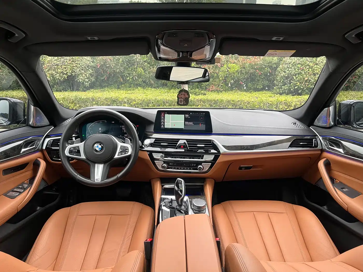 BMW 5 Series 2020 530Li Leading M Sport Package фото 8