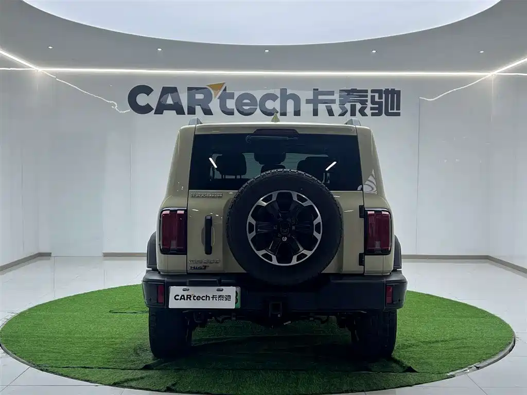 TANK TANK 300 NEW ENERGY