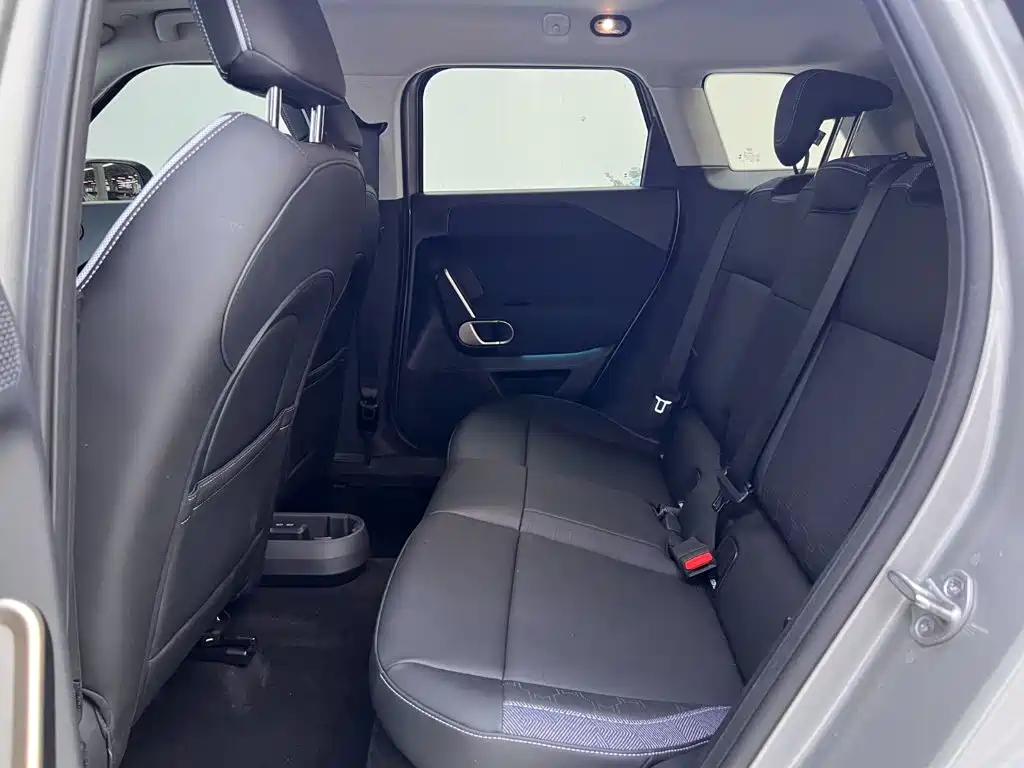 MINI Electric MINI ACEMAN 2025 2024 Model SE Artist