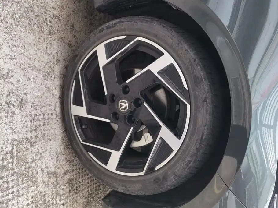 Changan Yida 2023 2023 Blue Whale NE 1.5T GDI DCT Flagship