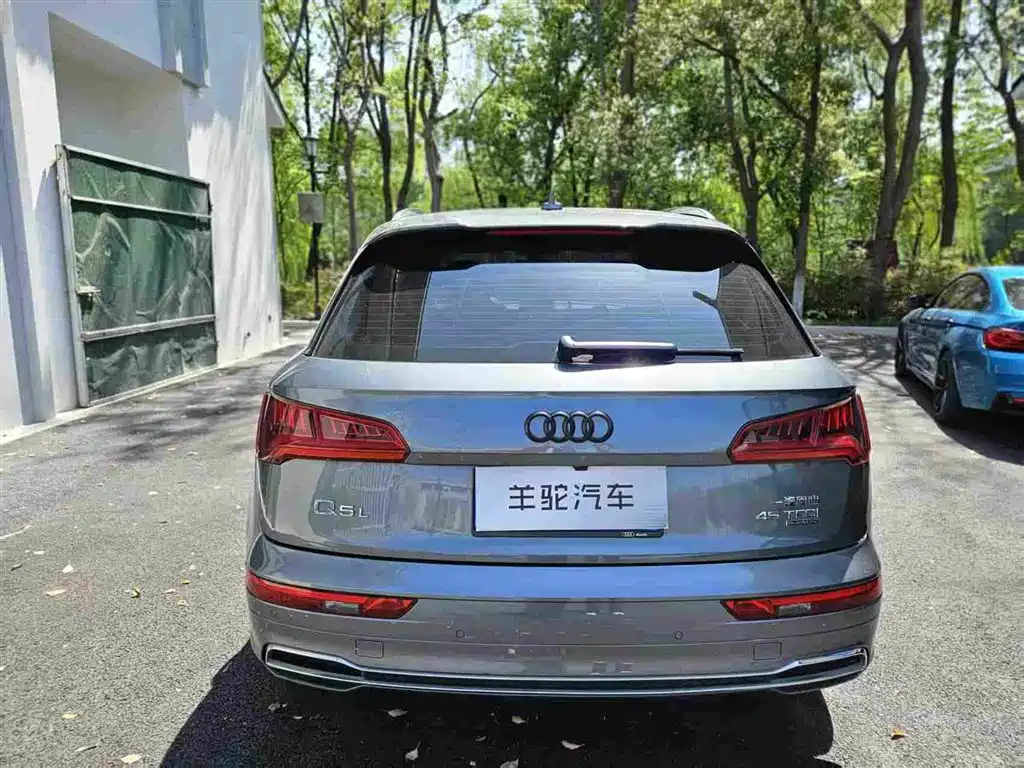 Audi Q5L 2020 45 TFSI Exclusive Fashion фото 14