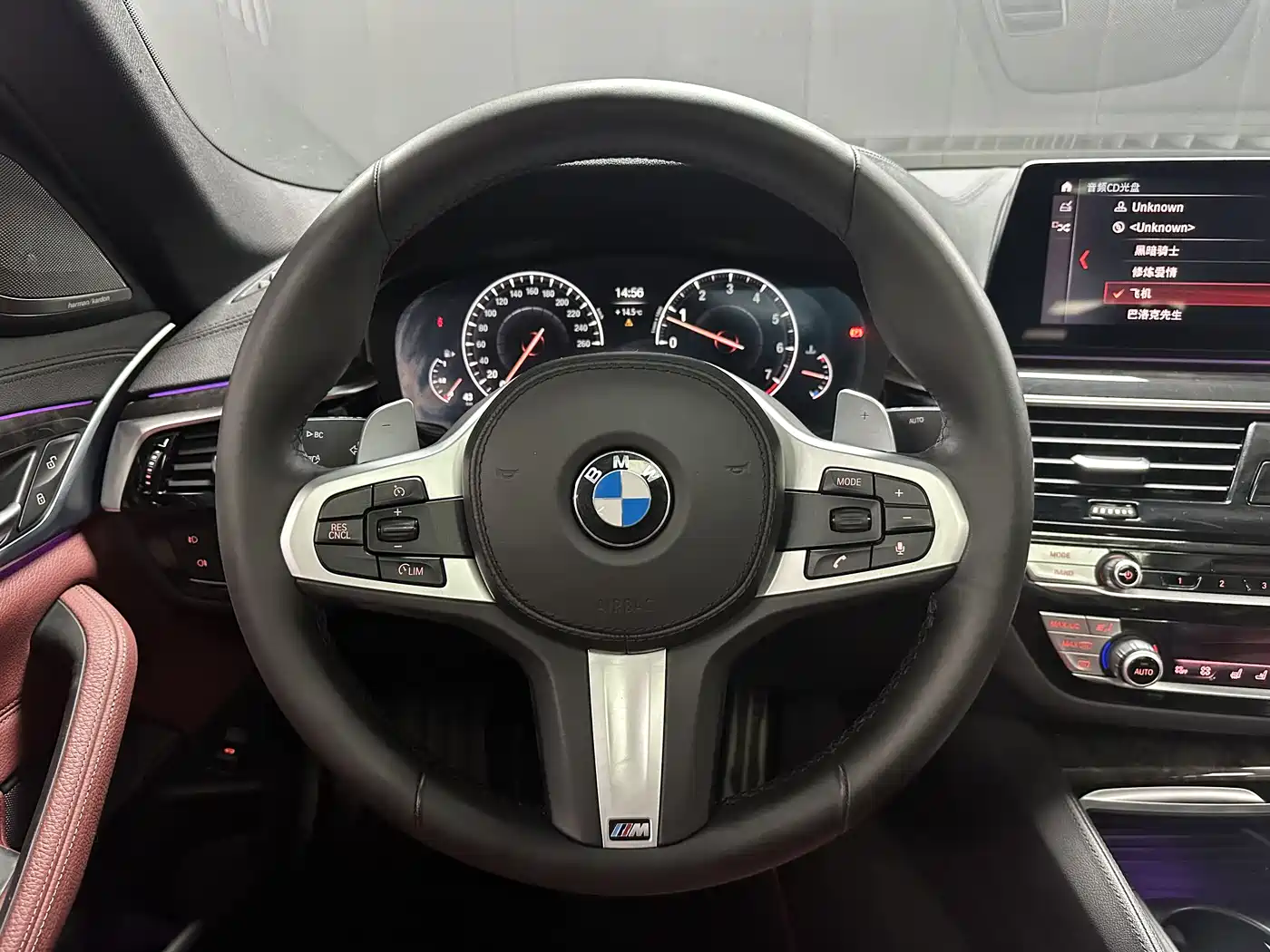 BMW 5 Series 2019 530Li Premium M Sport Package фото 7