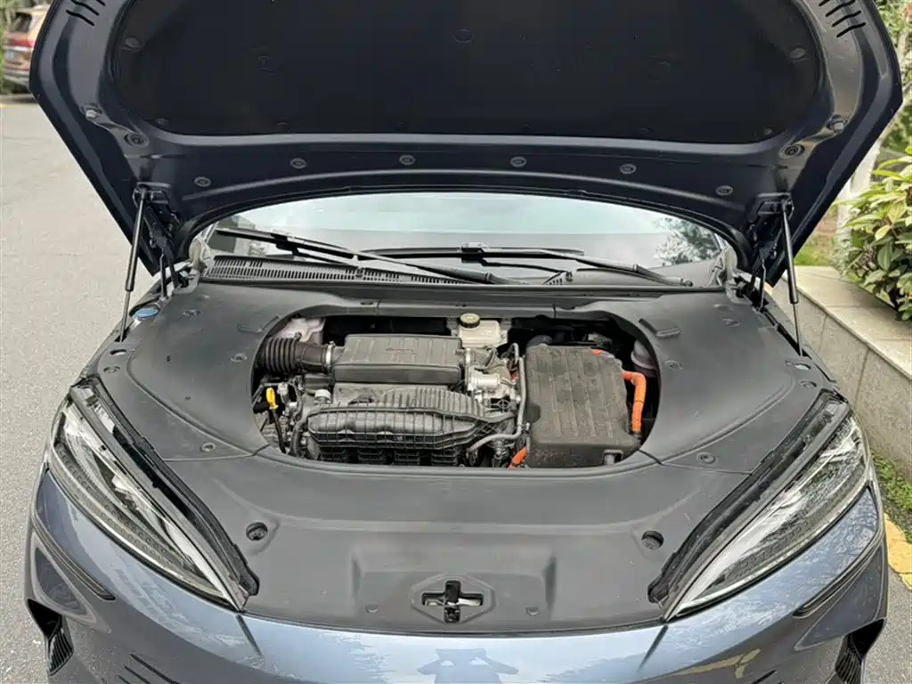 BYD Seal 2024 Glory Edition DM-i 1.5L 121km Luxury фото 11