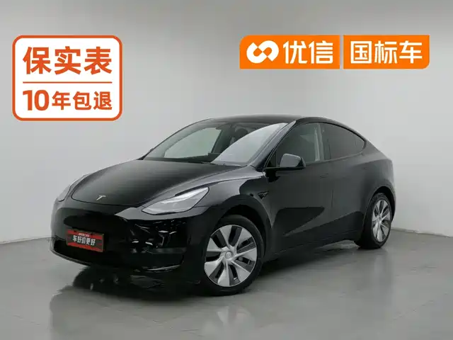Tesla Model Y 2021 Standard Range Rear-Wheel Drive — фото 1