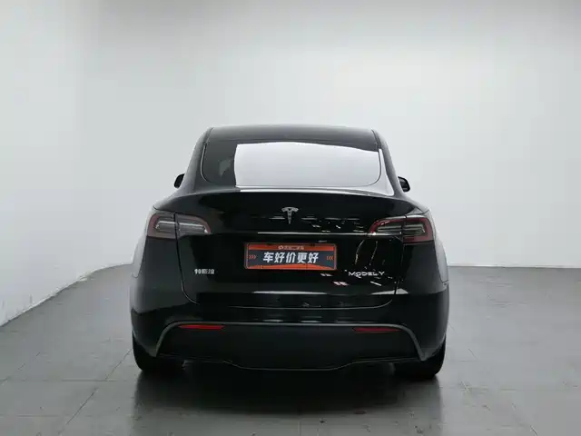 Tesla Model Y 2021 Standard Range Rear-Wheel Drive — фото 4