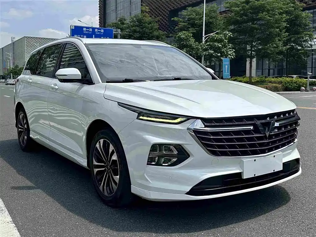 Wuling Motors Wuling Victory 2020 2020 1.5T CVT Flagship