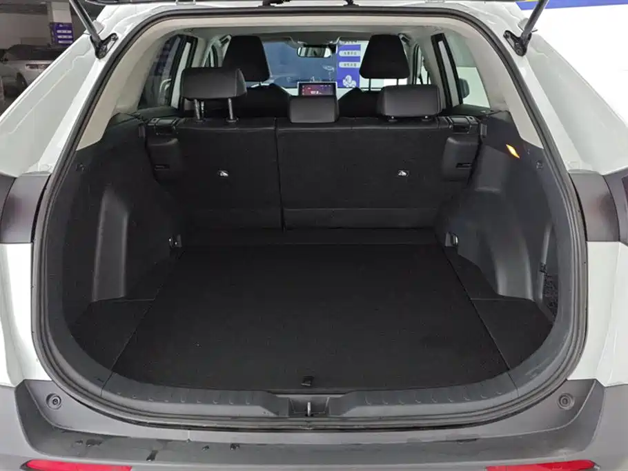 Toyota RAV4 Rongfang 2021 2.0L CVT 2WD Trend PLUS фото 4