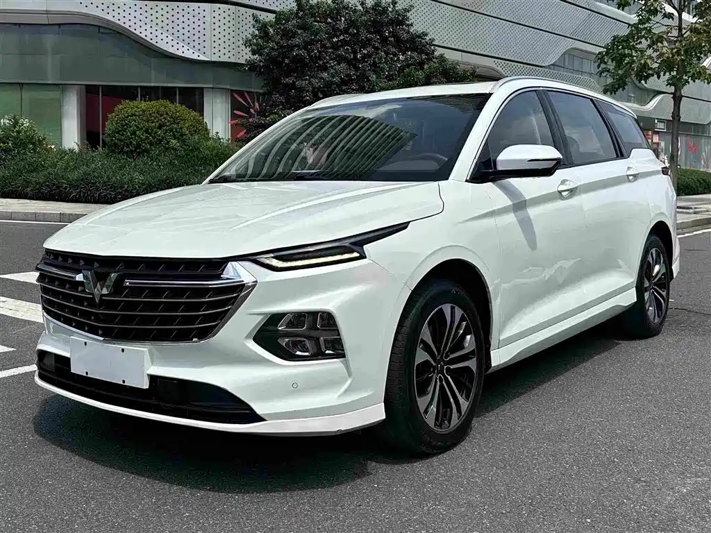 Photo 1 - Wuling Motors Wuling Victory