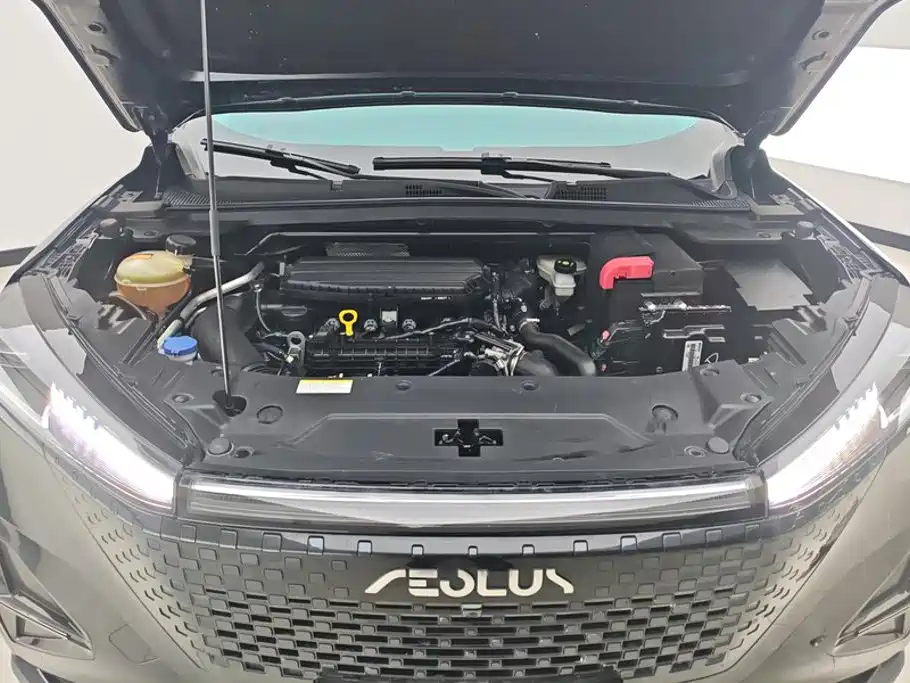 Dongfeng Aeolus Haohan 2024 2024 Glory Edition 1.5T Fashion