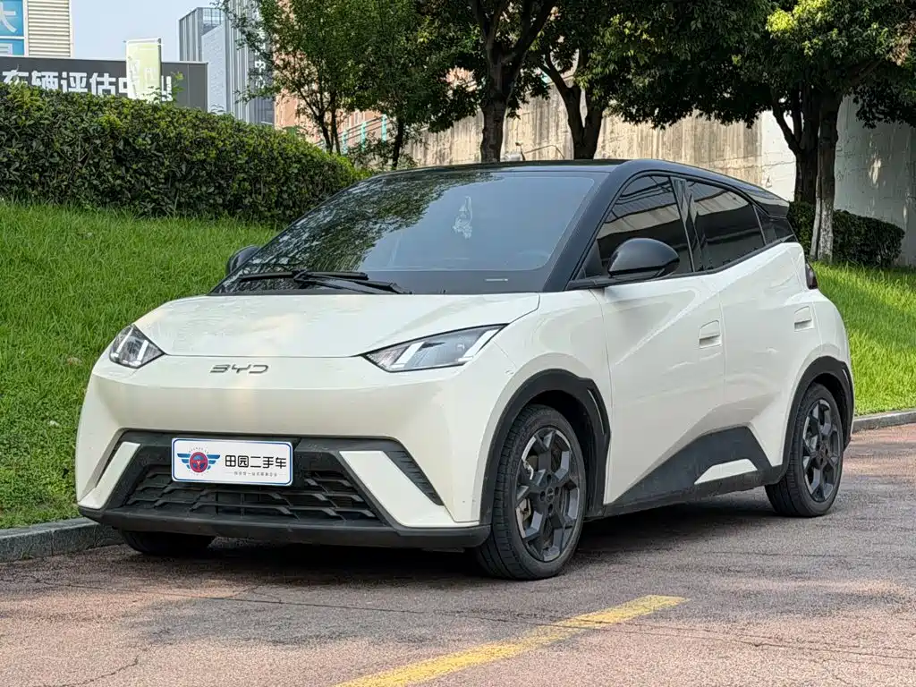 BYD Seagull 2025