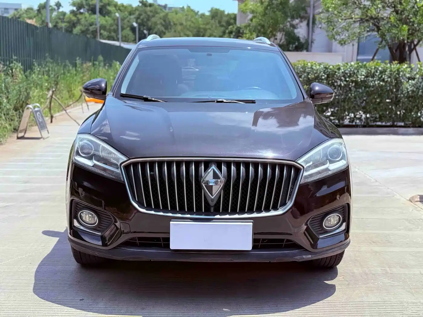 2019 Borgward BX7