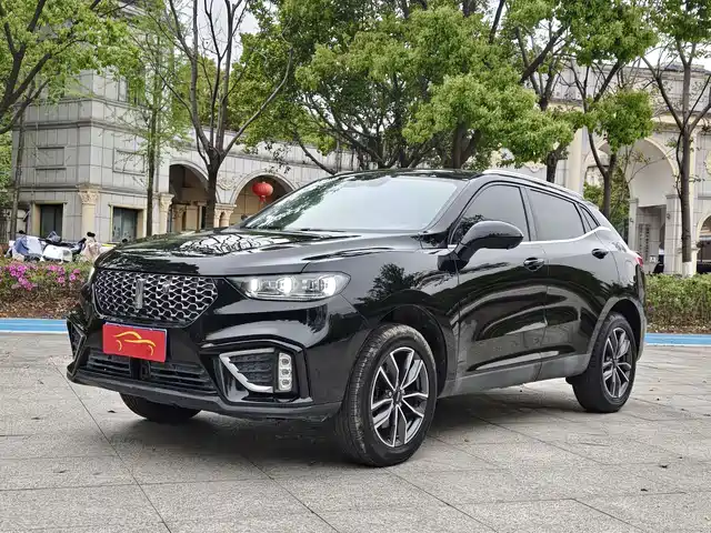 wei-pai wei-brand-vv5