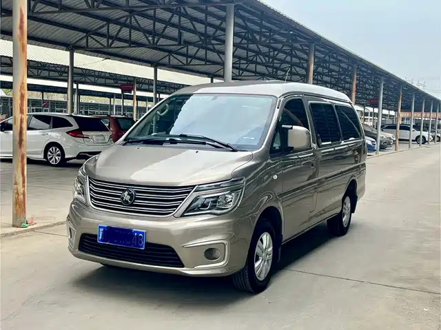 DONGFENG LINGZHI