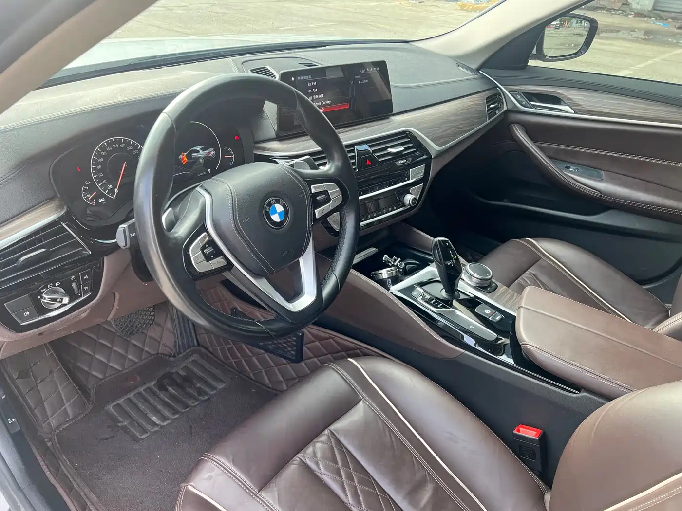 BMW 5 Series 2019 530Li Leading Luxury Package фото 7