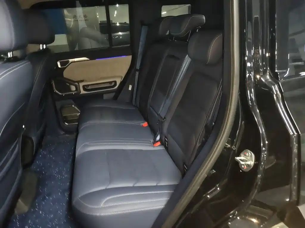 Jetour Shanhai T2 2025 2024 C-DM 129KM Forest Edition