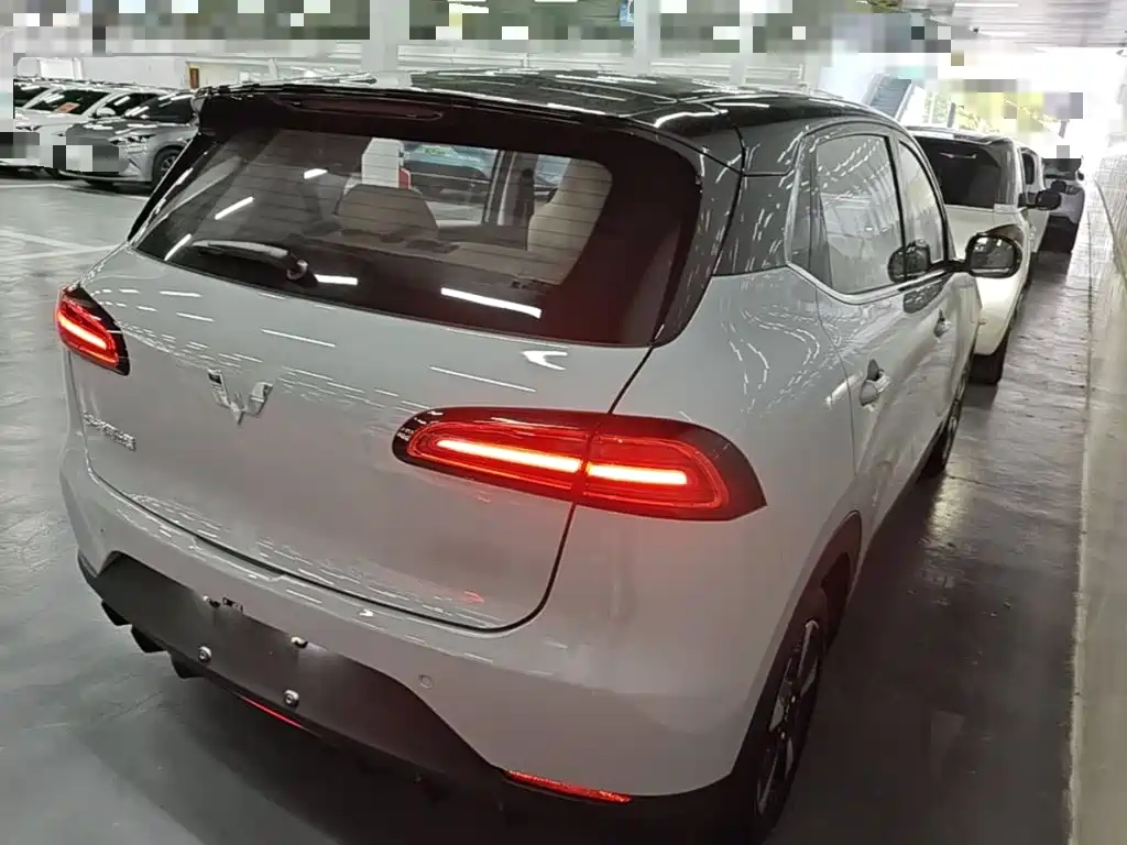 Wuling Motors Wuling Binguo PLUS 2026 2024 510km Range 5-seater