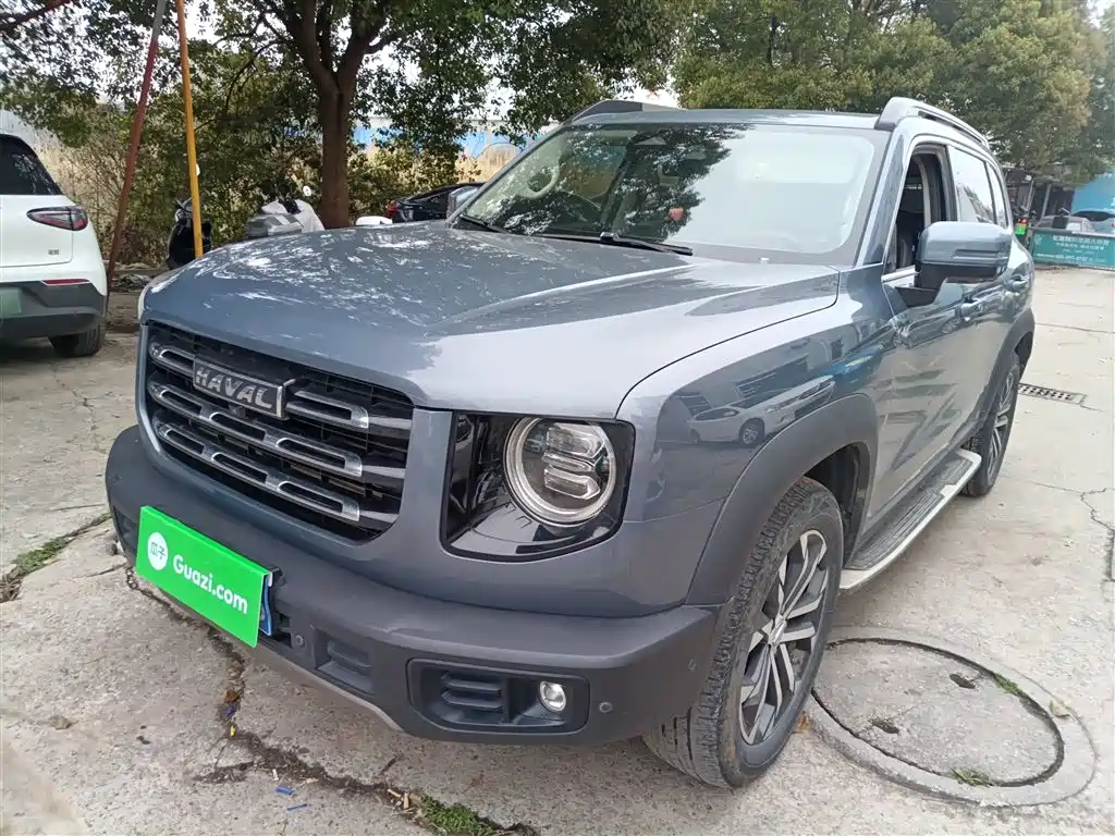 Haval Big Dog 2021 1.5T DCT 2WD Malinois - Wangcai Edition