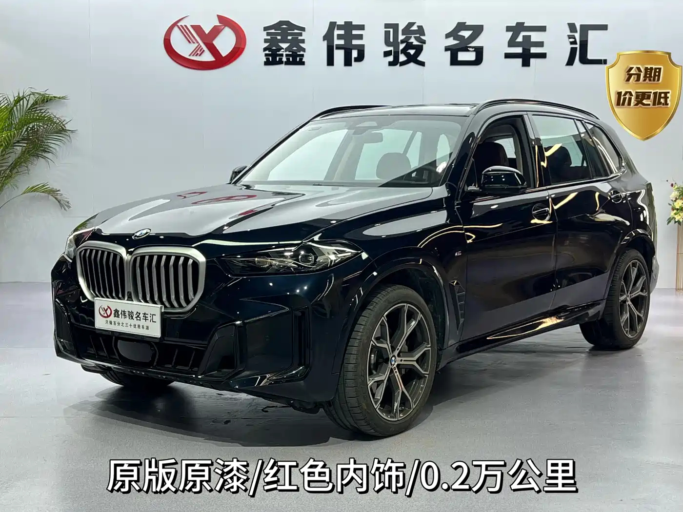 BMW X5 2025