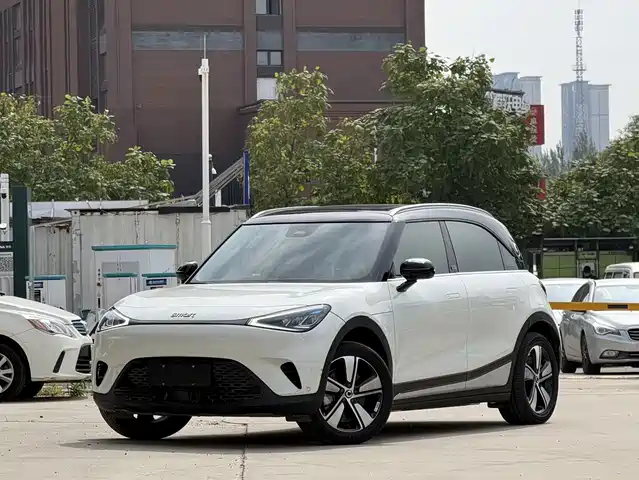  smart smart Elf #1 2024 Pro Edition