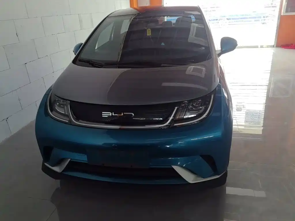 BYD Dolphin 2021 2021 401km Knight Edition