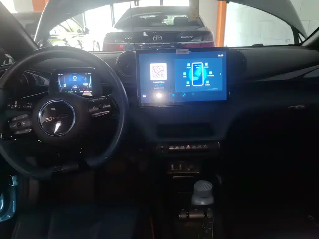 BYD Dolphin 2021 2021 401km Knight Edition