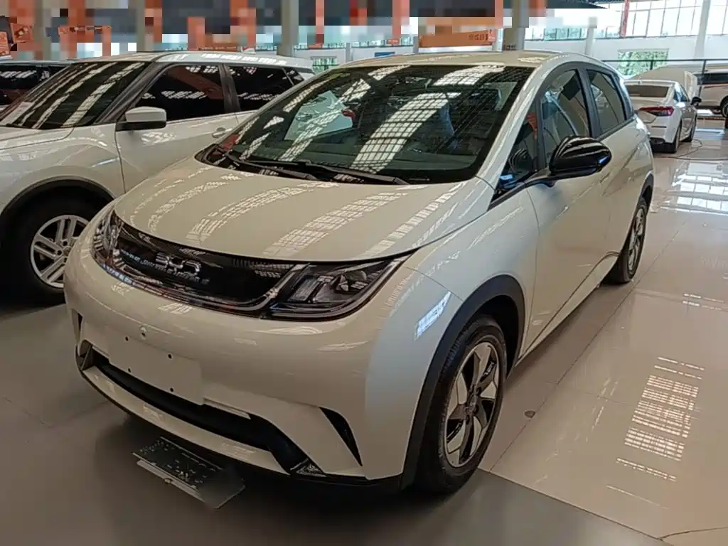 BYD Dolphin 2025 420km Freedom Edition