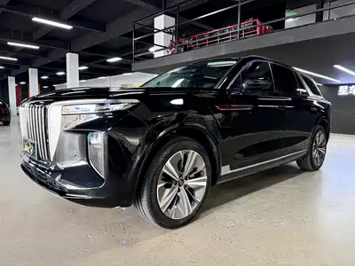 Hongqi E-HS9