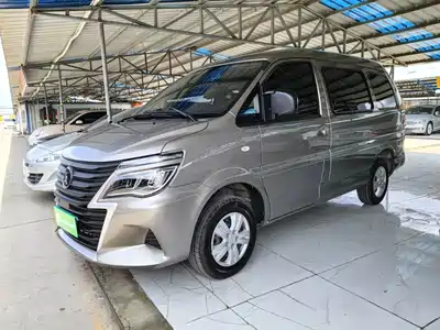 Forthing Lingzhi